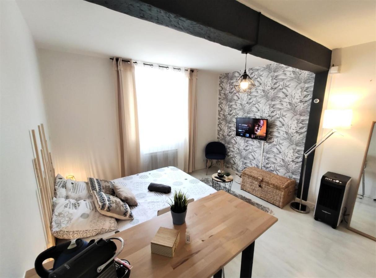 Le Jasmin Des Carmes - Hypercentre - Netflix Apartment Toulouse Exterior photo